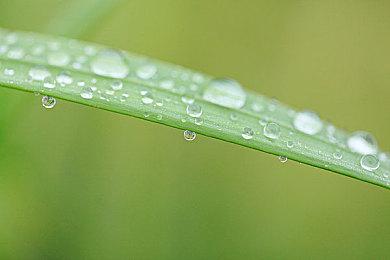 复古街机《Akka Arrh》明年初发售 登陆多平台